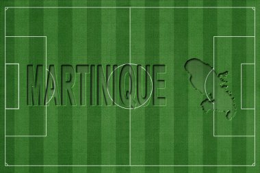 MGoalinique Futbol Sahasında, Milli Takım Konsepti