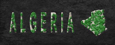 Cezayir 'in Yeniden Ormanlanma Haritası Yeşil Gündem, İklim Mesajı