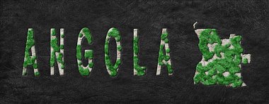 Angola Ormanlarının Yeniden Canlandırılması Yeşil Gündem Haritası, İklim Mesajı