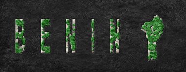 Benin Ormanının Yeniden Ormanlanma Haritası Yeşil Gündem, İklim Mesajı