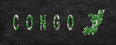 Kongo Yeniden Ormanlanma Haritası Yeşil Gündem, İklim Mesajı