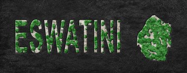 Eswatini Yeniden Ormanlama Yeşil Gündem Haritası, İklim Mesajı