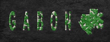 Gabon Ormanının Yeniden Ormanlanma Haritası Yeşil Gündem, İklim Mesajı