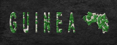 Gine Ormanının Yeniden Ormanlanma Haritası Yeşil Gündem, İklim Mesajı