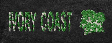 Fildişi Sahil Yeniden Ormanlama Yeşil Gündem Haritası, İklim Mesajı