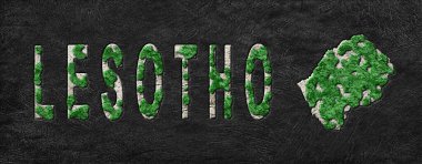 Lesotho Yeniden Ormanlama Yeşil Gündem Haritası, İklim Mesajı