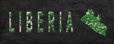 Liberya Ormanlarının Yeniden Canlandırılması Yeşil Gündem, İklim Mesajı