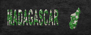 Madagaskar 'ın Yeniden Ormanlanma Haritası Yeşil Gündem, İklim Mesajı