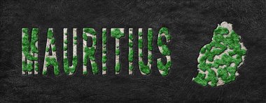 Mauritius Ormanının Yeniden Ormanlanma Haritası Yeşil Gündem, İklim Mesajı