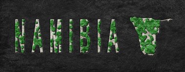 Namibya 'nın Orman Yenileme Haritası Yeşil Gündem, İklim Mesajı