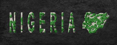 Nijerya 'nın Yeniden Ormanlanma Haritası Yeşil Gündem, İklim Mesajı