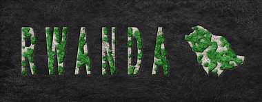 Rwanda Ormanının Yeniden Ormanlanma Haritası Yeşil Gündem, İklim Mesajı