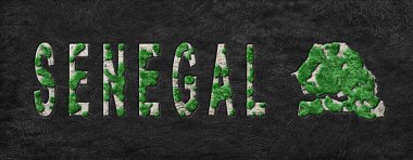 Senegal Ormanlarının Yeniden Canlandırılması Haritası Yeşil Gündem, İklim Mesajı