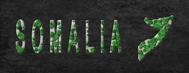 Somali Ormanlarının Yeniden Canlandırılması Yeşil Gündem Haritası, İklim Mesajı