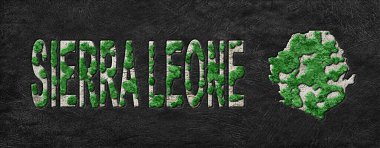 Sierra Leone 'nin Yeşil Gündem Yeniden Ormanı Haritası, İklim Mesajı