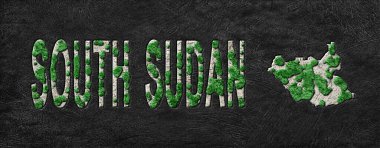 Güney Sudan Ormanlarının Yeşiller Gündemi Haritası, İklim Mesajı