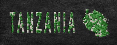 Tanzanya 'nın Yeniden Ormanlanma Haritası Yeşil Gündem, İklim Mesajı