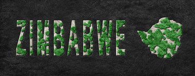 Zimbabwe 'nin Yeşil Gündem Haritası, İklim Mesajı