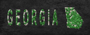 Gürcistan Ormanının Yeniden Ormanlanma Haritası Yeşil Gündem, İklim Mesajı