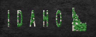Idaho Yeniden Ormanlandırma Yeşil Gündem Haritası, İklim Mesajı