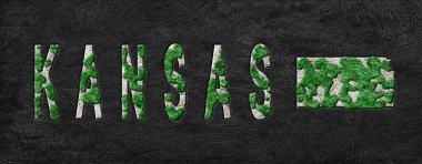 Kansas 'ın Yeniden Ormanlanma Haritası Yeşil Gündem, İklim Mesajı