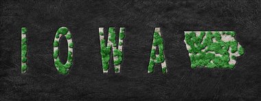 Iowa Ormanlarının Yeniden Canlandırılması Yeşil Gündem Haritası, İklim Mesajı