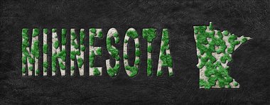 Minnesota Yeniden Ormanlanma Yeşil Gündem Haritası, İklim Mesajı