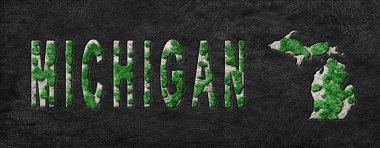 Michigan Ormanının Yeniden Ormanlanma Haritası Yeşil Gündem, İklim Mesajı