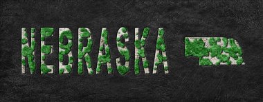 Nebraska Yeniden Ormanlama Yeşil Gündem Haritası, İklim Mesajı