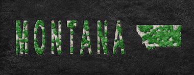 Montana Ormanının Yeniden Ormanlanma Haritası Yeşil Gündem, İklim Mesajı