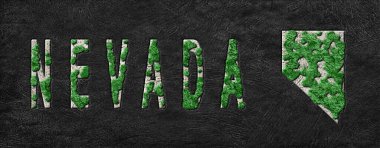 Nevada Ormanının Yeniden Ormanlanma Haritası Yeşil Gündem, İklim Mesajı