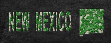 New Mexico Haritası Yeniden Ormanlama Yeşil Gündem, İklim Mesajı