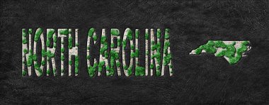 Kuzey Carolina Orman Yeniden Ormanlama Yeşil Gündem Haritası, İklim Mesajı