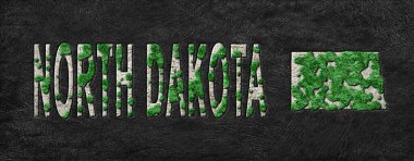 Kuzey Dakota Yeniden Ormanlanma Yeşil Gündem Haritası, İklim Mesajı