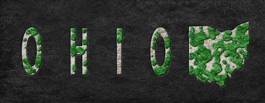 Ohio 'nun Yeniden Ormanlanma Haritası Yeşil Gündem, İklim Mesajı