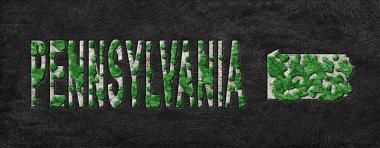 Pensilvanya 'nın Yeniden Ormanlanma Haritası Yeşil Gündem, İklim Mesajı