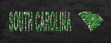 Güney Carolina Ormanlarının Yeniden Düzenlenmesi Yeşil Gündem Haritası, İklim Mesajı