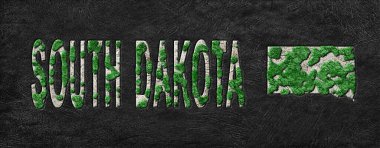 Güney Dakota Yeniden Ormanlama Yeşil Gündem Haritası, İklim Mesajı