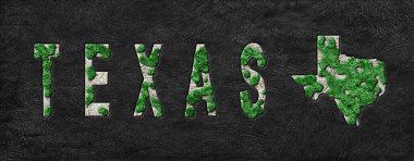 Teksas 'ın Yeniden Ormanlanma Haritası Yeşil Gündem, İklim Mesajı