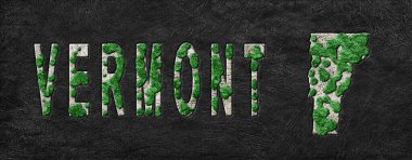 Vermont Yeniden Ormanlanma Haritası Yeşil Gündem, İklim Mesajı