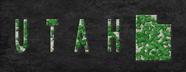 Utah Ormanının Yeşiller Gündemi Haritası, İklim Mesajı