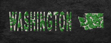 Washington Ormanlarının Yeniden Ormanlanma Haritası Yeşil Gündem, İklim Mesajı