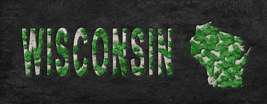 Wisconsin Ormanının Yeniden Ormanlanma Haritası Yeşil Gündem, İklim Mesajı