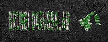 Brunei Darussalam 'ın Yeşil Gündem Haritası, İklim Mesajı