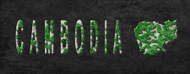 Kamboçya Ormanlarını Yenileme Haritası Yeşil Gündem, İklim Mesajı