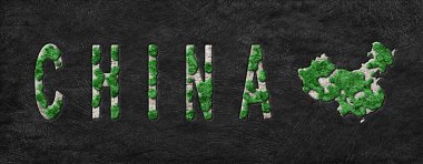 Çin Haritası Yeniden Ormanlama Yeşil Gündem, İklim Mesajı