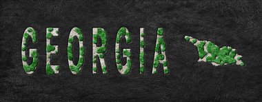 Gürcistan Ormanının Yeniden Ormanlanma Haritası Yeşil Gündem, İklim Mesajı