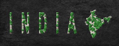 Hindistan 'ın Yeniden Ormanlanma Haritası Yeşil Gündem, İklim Mesajı