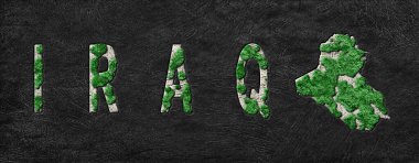 Irak 'ın Yeniden Ormanlanma Haritası Yeşil Gündem, İklim Mesajı