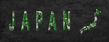 Japonya 'nın Yeniden Ormanlanma Haritası Yeşil Gündem, İklim Mesajı